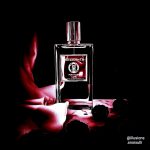 عطر ادکلن فور یور لاو میزنسر - For Your Love Mizensir - بررسی، قیمت و خرید