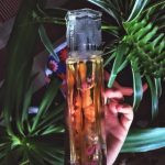عطر ادکلن فلای بای رمپیج رَمپیج - Fly by Rampage Rampage - بررسی، قیمت و خرید