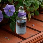 عطر ادکلن ویولتا پنالیگانز - Violetta Penhaligon's - بررسی، قیمت و خرید