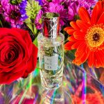 عطر ادکلن کروز کالکشن اسکال آ پوندیشری دیور - Cruise Collection Escale a Pondichery Dior - بررسی، قیمت و خرید