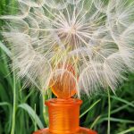 عطر ادکلن برگاموتو مونوتم ونیزیا - Bergamotto Monotheme Venezia - بررسی، قیمت و خرید