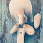 عطر ادکلن استار مگنولیا جو مالون لاندن - Star Magnolia Jo Malone London - بررسی، قیمت و خرید