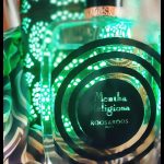عطر ادکلن منت رلیجوسا روس اند روس - Mentha Religiosa Roos & Roos - بررسی، قیمت و خرید