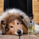 عطر ادکلن وی دو شاتو اینتنس نیکولای پارفومر کریتور - Vie de Chateau Intense Nicolai Parfumeur Createur - بررسی، قیمت و خرید