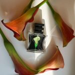 عطر ادکلن نمبر بیست و دو اس جی هفتاد و نه اس تی اچ ال ام - Nº 22 SG79 STHLM - بررسی، قیمت و خرید