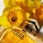 عطر ادکلن فره ادو پرفیوم جیانفرانکو فره - Ferre Eau de Parfum Gianfranco Ferre - بررسی، قیمت و خرید
