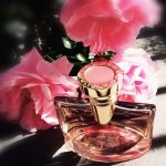 عطر ادکلن اسپلندیدا رز رز بولگاری - Splendida Rose Rose Bvlgari - بررسی، قیمت و خرید