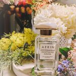 عطر ادکلن مدیترینیان هانی‌ساکل میموسا آرین - Mediterranean Honeysuckle Mimosa Aerin - بررسی، قیمت و خرید