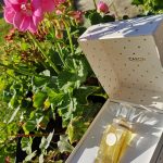 عطر ادکلن ار ا نوآر کارن - Or et Noir Caron - بررسی، قیمت و خرید
