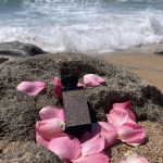 عطر ادکلن هارم رز فورت اند منلی - Harem Rose Fort & Manle - بررسی، قیمت و خرید
