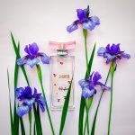 عطر ادکلن شنتی اِ م. میکالف - Shanti M. Micallef - بررسی، قیمت و خرید