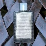 عطر ادکلن بریت ریتم فور هیم اینتنس بربری - Brit Rhythm for Him Intense Burberry - بررسی، قیمت و خرید