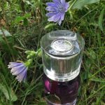 عطر ادکلن می مای‌سلف اند آی اِگوفَکتو - Me Myself & I Egofacto - بررسی، قیمت و خرید