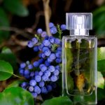 عطر ادکلن اس دی شرر هوم ژان لویی شرر - S de Scherrer Homme Jean-Louis Scherrer - بررسی، قیمت و خرید