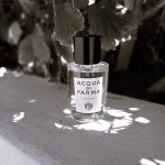 عطر ادکلن اکوا دی پارما کلونیا آکوا دی پارما - Acqua di Parma Colonia Acqua di Parma - بررسی، قیمت و خرید
