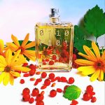 عطر ادکلن اسنتریک ۰۴ اسنتریک مولکولز - Escentric 04 Escentric Molecules - بررسی، قیمت و خرید