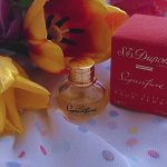 عطر ادکلن ساینچر دوپوینت - Signature S.T. Dupont - بررسی، قیمت و خرید