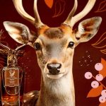 عطر ادکلن ایمپریال وود پاندورا - Imperial Wood Pana Dora - بررسی، قیمت و خرید