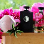 عطر ادکلن استلا این تو پئونی استلا مک‌کارتنی - Stella in Two Peony Stella McCartney - بررسی، قیمت و خرید