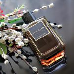 عطر ادکلن اسنس نامبر تری امبر ایلی ساب - Essence No. 3 Ambre Elie Saab - بررسی، قیمت و خرید