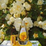 عطر ادکلن زالوتایا روزا دیلیس پرفیوم - Zolotaya Roza Dilís Parfum - بررسی، قیمت و خرید