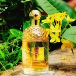 عطر ادکلن آکوا الگریا فلورا نیمفیا گرلن - Aqua Allegoria Flora Nymphea Guerlain - بررسی، قیمت و خرید