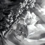 عطر ادکلن بِلایا آکاتسیا سیویرنویه سییانیه - Белая Акация (White Acacia) Северное сияние - بررسی، قیمت و خرید