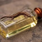عطر ادکلن اودهرمس اِرمِس - Eau D'Hermes Hermès - بررسی، قیمت و خرید