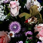 عطر ادکلن آنا بلو مارین - Anna Blumarine - بررسی، قیمت و خرید