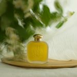 عطر ادکلن جِلسومینو سانتا ماریا نوولا - Gelsomino Santa Maria Novella - بررسی، قیمت و خرید