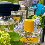 عطر ادکلن دیر پولی ویلهلم پرفیومری - Dear Polly Vilhelm Parfumerie - بررسی، قیمت و خرید