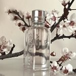 عطر ادکلن فلور دو سریزیه لوکسیتان - Fleurs De Cerisier L'Occitane en Provence - بررسی، قیمت و خرید