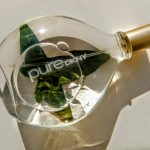 عطر ادکلن پیور دی کِنی دونا کارن - Pure DKNY Donna Karan - بررسی، قیمت و خرید