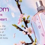 عطر ادکلن فلور د بریگنول لوکسیتان - Fleurs de Brignoles (Plum Blossom) L'Occitane en Provence - بررسی، قیمت و خرید