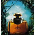 عطر ادکلن غلا اجمل - Ghala Ajmal - بررسی، قیمت و خرید