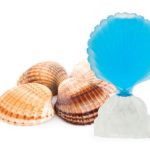 عطر ادکلن شل سی جولز - Shell Seajewels - بررسی، قیمت و خرید