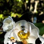 عطر ادکلن میتو او دو پرفیوم ویرو پرفومو - Mito Eau de Parfum Vero Profumo - بررسی، قیمت و خرید