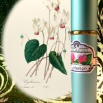 عطر ادکلن سیکلامن فراگریفرت پرفیومر - Cyclamen Fragrifert Parfumeur - بررسی، قیمت و خرید