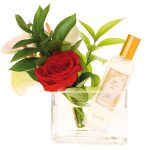 عطر ادکلن رد رز آلوارز گومز - Red Rose Alvarez Gómez - بررسی، قیمت و خرید
