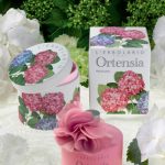 عطر ادکلن اورتنسیا لئربولاریو - Ortensia L'Erbolario - بررسی، قیمت و خرید