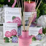 عطر ادکلن اورتنسیا لئربولاریو - Ortensia L'Erbolario - بررسی، قیمت و خرید