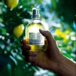عطر ادکلن اُ دو سدرات لوکسیتان - Eau de Cedrat L'Occitane en Provence - بررسی، قیمت و خرید