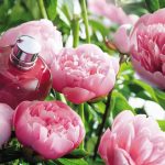 عطر ادکلن پیون فلورا لوکسیتان - Pivoine Flora (2015) L'Occitane en Provence - بررسی، قیمت و خرید