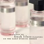 عطر ادکلن افتر مای اون هارت اینه‌که - After My Own Heart Ineke - بررسی، قیمت و خرید