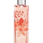 عطر ادکلن ایندین نایت جزمین \The بادی شاپ - Indian Night Jasmine The Body Shop - بررسی، قیمت و خرید