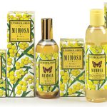 عطر ادکلن میموسا لربولاریو - Mimosa L'Erbolario - بررسی، قیمت و خرید