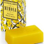 عطر ادکلن میموسا لربولاریو - Mimosa L'Erbolario - بررسی، قیمت و خرید