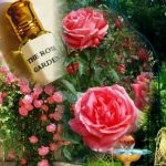 عطر ادکلن د رز گاردن شانیلا روا القمر - The Rose Garden Shaneela Rowah Al-Qamar - بررسی، قیمت و خرید