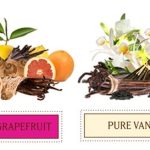 عطر ادکلن پیور وانیلا لاوانیلا لابراتوریز - Pure Vanilla Lavanila Laboratories - بررسی، قیمت و خرید