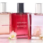 عطر ادکلن چری بلوسم ژاپنی بث اند بادی ورکز - Japanese Cherry Blossom Bath & Body Works - بررسی، قیمت و خرید